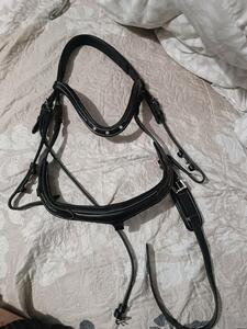 Bridon Horse strass