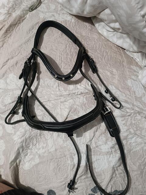 Bridon Horse strass