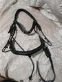 Bridon Horse strass