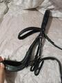 Bridon Horse strass