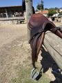 CWD