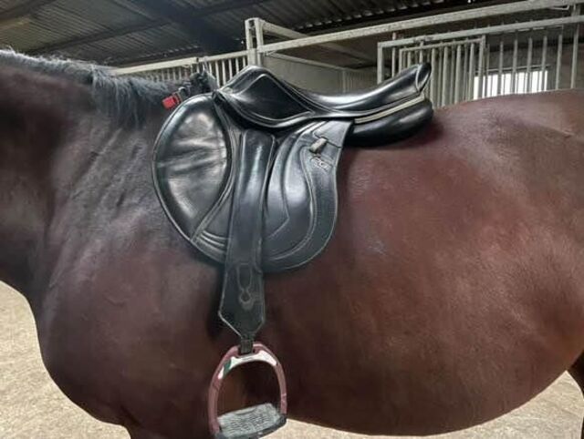 Selle mademoiselle cwd taille 17’5