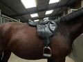 Selle mademoiselle cwd taille 17’5