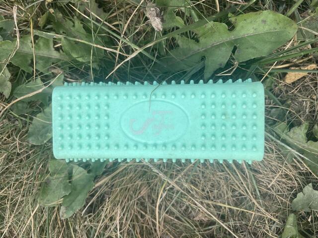 brosse anti poils showmaster bleue