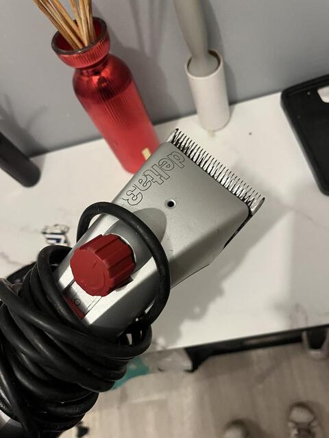 Tondeuse heiniger delta3