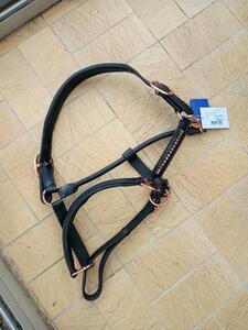 Licol cuir et cristaux neuf