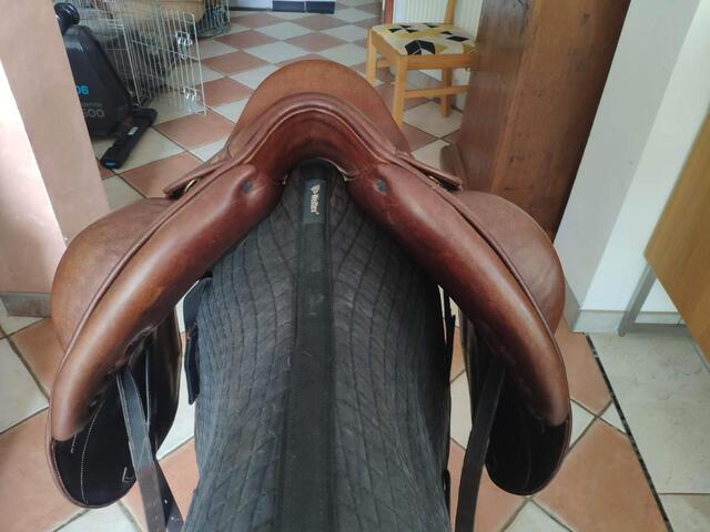 Dressage Darroze 17''