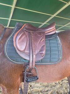 selle monoquartier