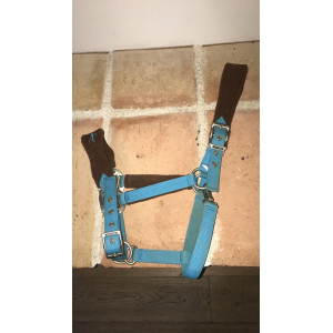 Licol bleu et marron