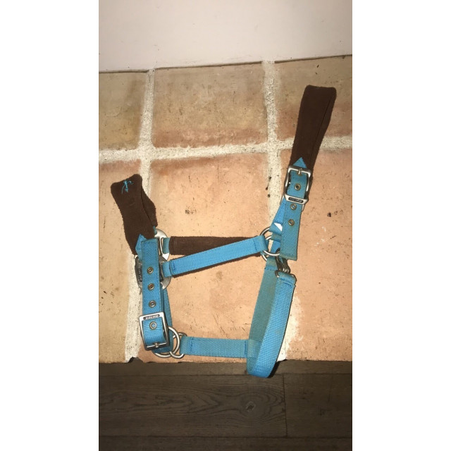 Licol bleu et marron