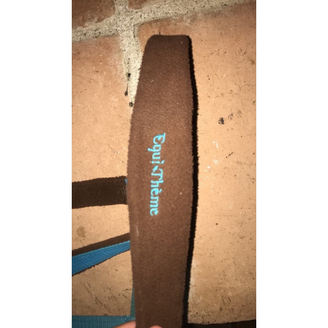 Licol bleu et marron