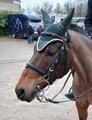 Bridon poney noir