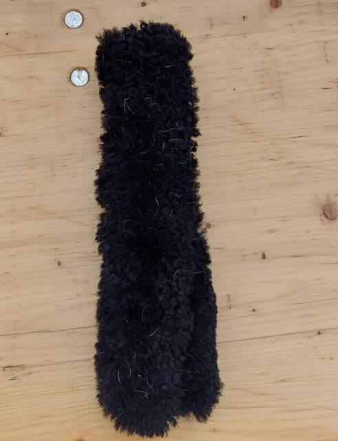 moumoute noire