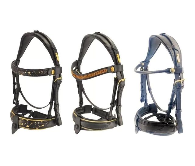 3 Filets en 1 ergonomique