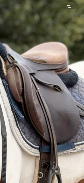 Selle mixte forestier