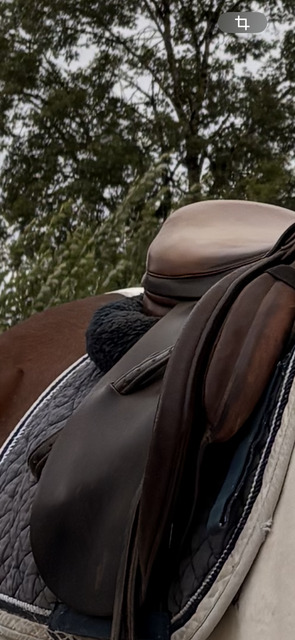 Selle mixte forestier