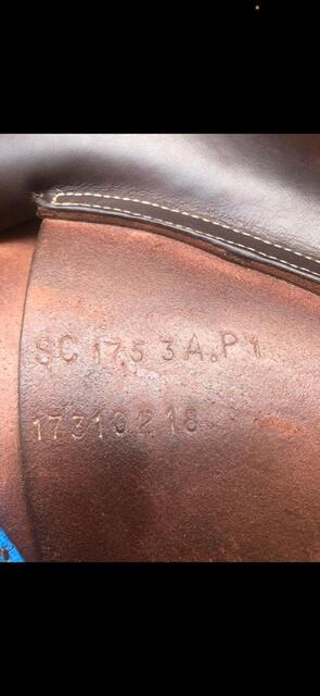 Selle mixte GBS