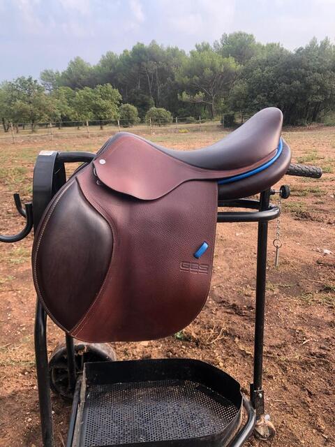 Selle mixte GBS
