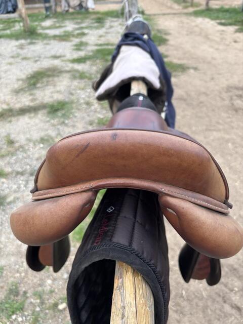 Selle one jump’in 17’5