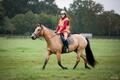 selle tekna dressage