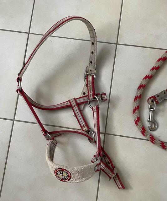 licol et longe taille cheval Happy Valley Polo
