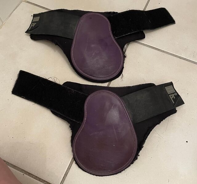 protège boulets cheval Norton noirs et violets