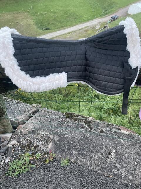 amortisseur mouton
