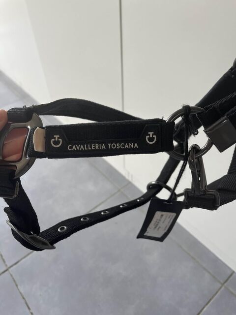 Licol cavalleria Toscana
