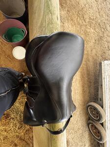 Selle forestier