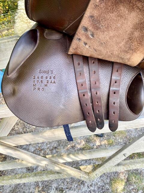 SELLE FORESTIER SÉOUL 2024