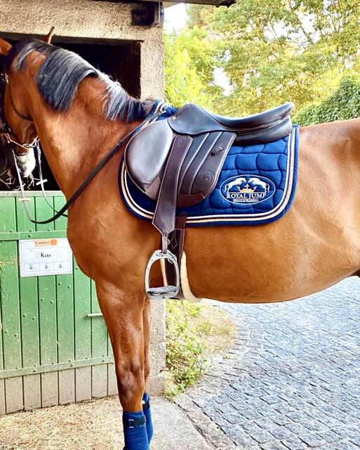 SELLE FORESTIER SÉOUL 2024