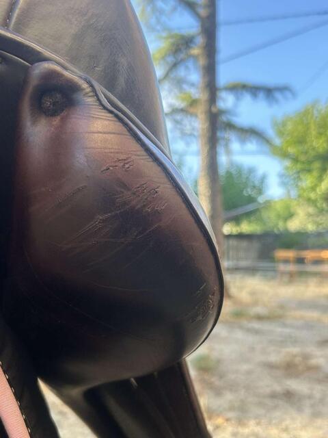 selle de dressage Childeric