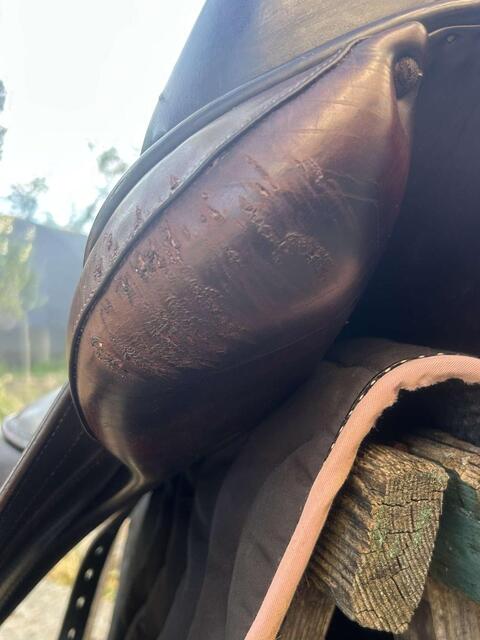 selle de dressage Childeric