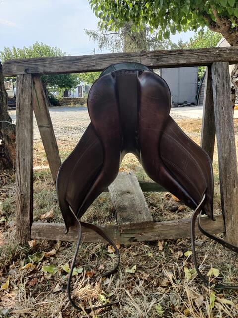 selle de dressage Childeric