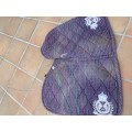 TAPIS