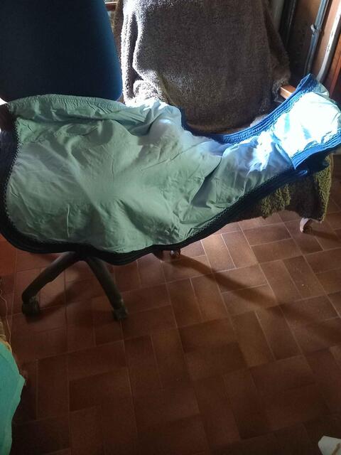 couvre rein taille cheval