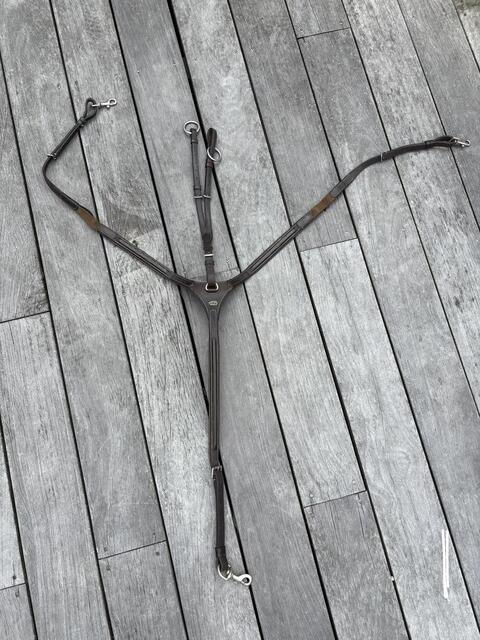 collier de chasse avec martingale