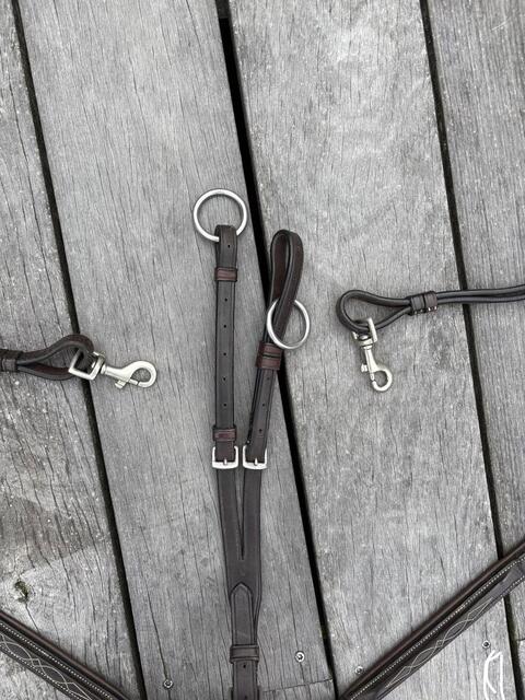 collier de chasse avec martingale