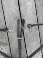 collier de chasse avec martingale
