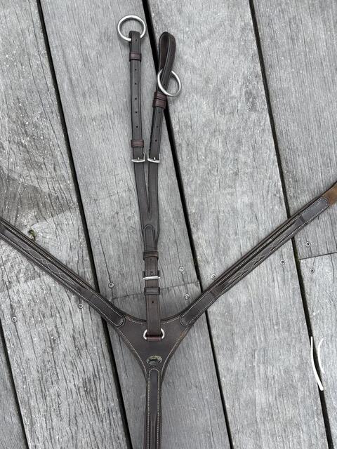collier de chasse avec martingale