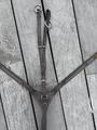 collier de chasse avec martingale