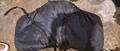 sac de transport selle