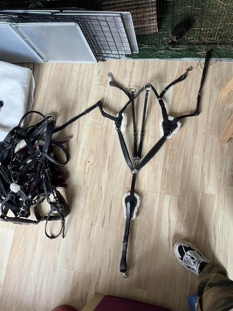 collier de chasse 5 points