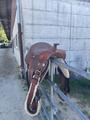 selle western