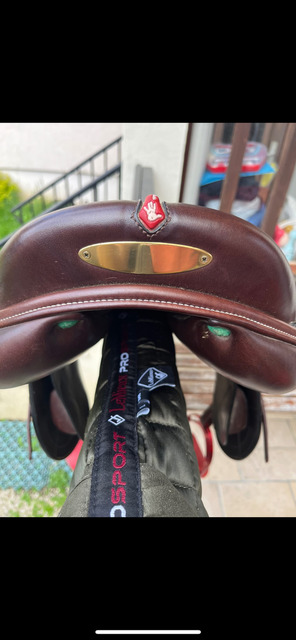 Selle équipe carbone EK GO