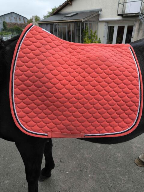 tapis dressage