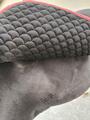 tapis dressage
