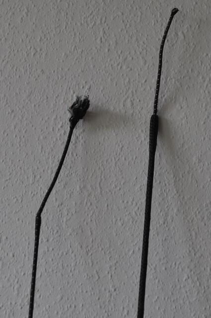 2 sticks dressage