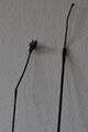 2 sticks dressage