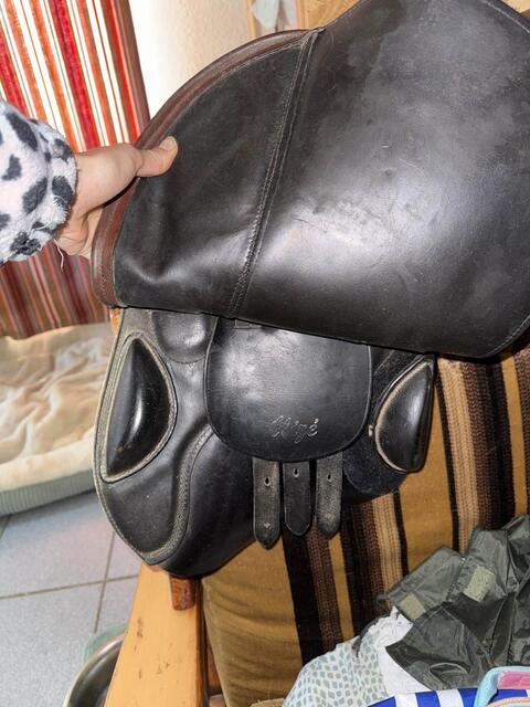 Selle SELTARN Alizé (Stubben) 17,5